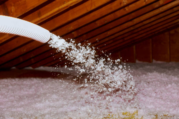 Best Residential Insulation in Avodo Heights, CA