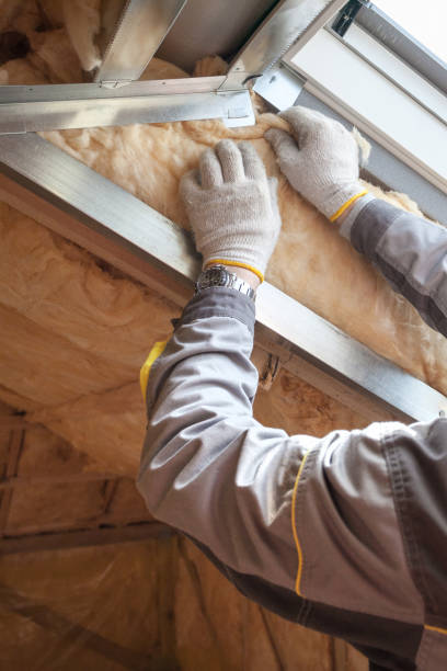 Best Insulation Maintenance and Repair in Avodo Heights, CA