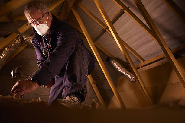 Types of Insulation We Offer in Avocado Heights, CA